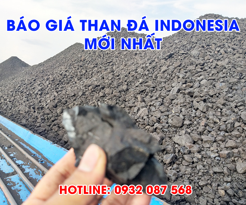 bao-gia-cung-cap-than-da-indonesia-nam-2024