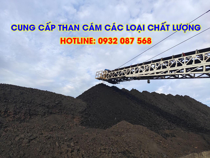 cung-cap-than-cam