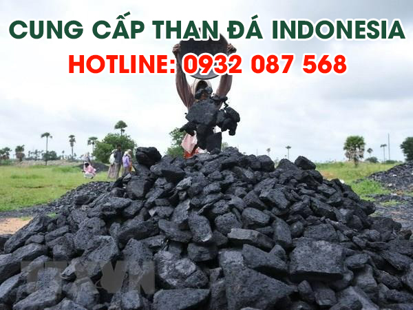 than-da-indonesia-gia-re